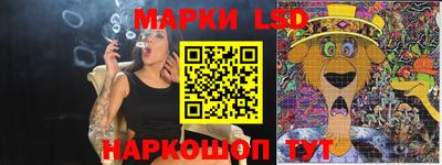молекула духа Кингисепп