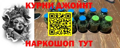 молекула духа Кингисепп
