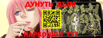 дживик Кимры