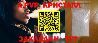 молекула духа Кингисепп