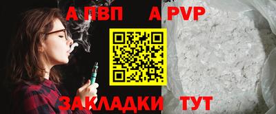 молекула духа Кингисепп