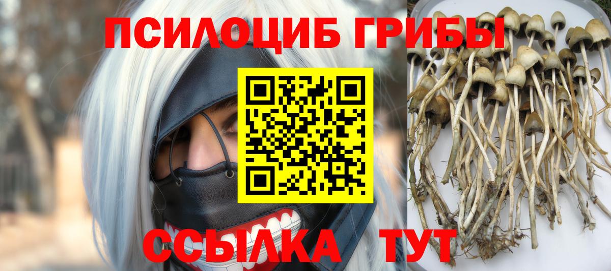 Галлюциногенные грибы MAGIC MUSHROOMS  Вход с VPN  Псилоцибиновые грибы MAGIC MUSHROOMS  Коркино 