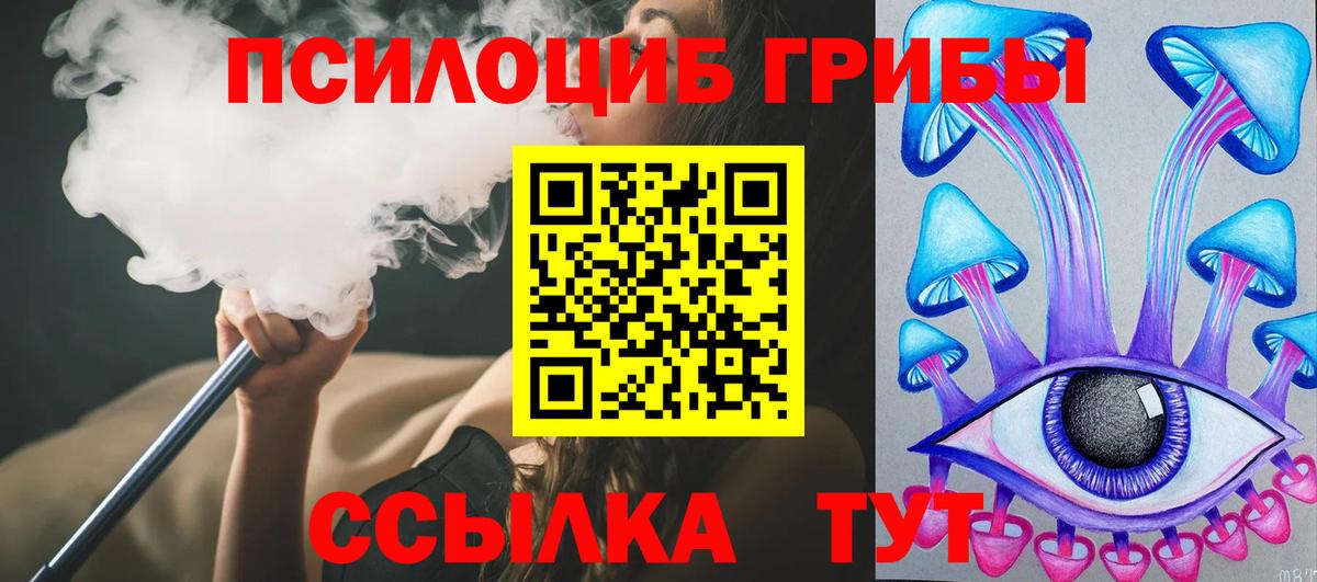 Псилоцибиновые грибы GOLDEN TEACHER Коркино